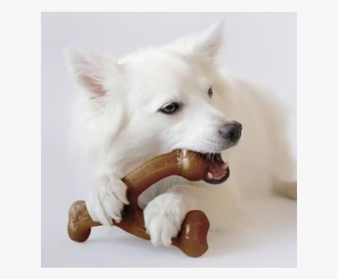 Benebone Bacon Flavor Wishbone Tough Dog Chew Toy