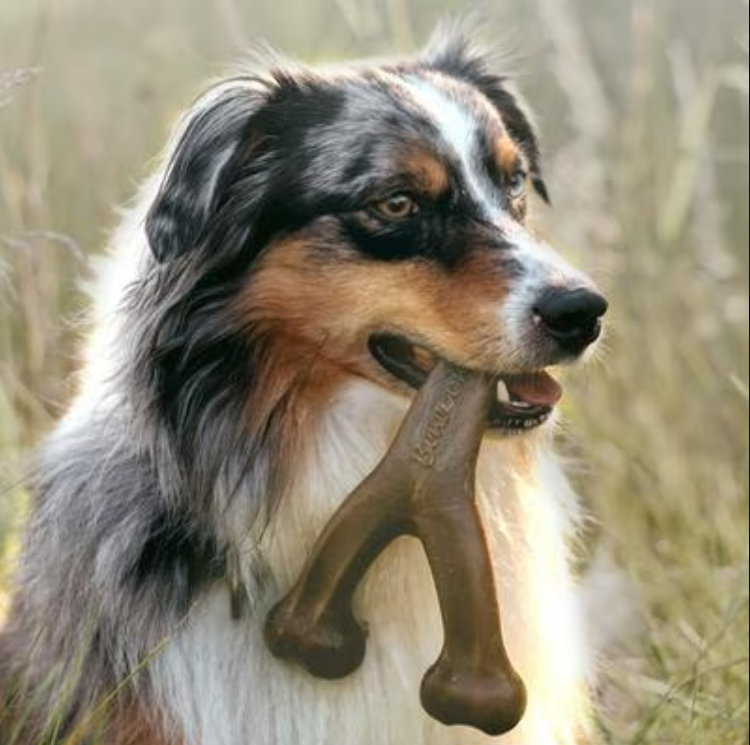 Benebone Bacon Flavor Wishbone Tough Dog Chew Toy