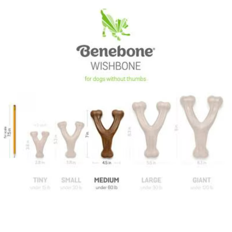 Benebone Bacon Flavor Wishbone Tough Dog Chew Toy